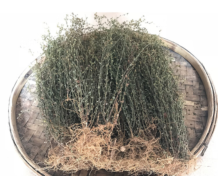 田基黃地耳草黃花草雀舌草新鮮曬乾品整株田基王500g