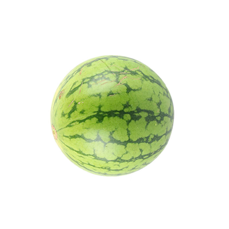 蜜童无籽西瓜农家自种自然成熟中小皮薄西瓜水果 随机1到6个装带包装