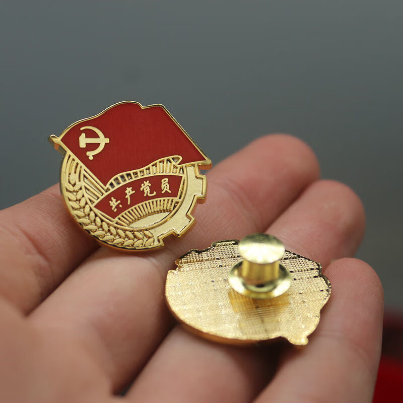 腾澜【纯铜】2020新党徽磁铁胸针蝴蝶扣加厚金属纯铜精品党徽 铜制