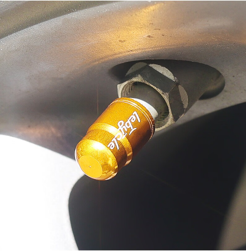 仰朋 山地公路自行车气门嘴帽气门芯轮胎铝合金汽车轿车美嘴防尘盖气