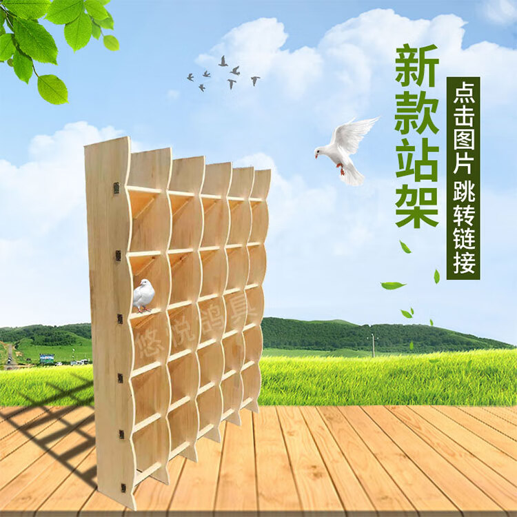 赛鸽息架 鸽子站架 栖架 信鸽栖架组合实木 鸽舍 公棚 专用栖息架 16