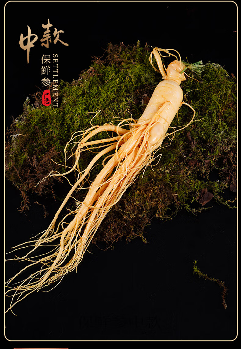 蓉芸堂保鲜参人参长白山鲜人参100g1000g包装大个东北新鲜人参泡酒