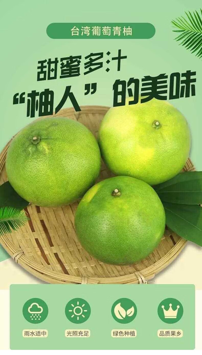台湾青皮葡萄柚礼盒装爆汁葡萄柚新鲜水果西柚孕妇8斤黄肉葡萄柚8斤