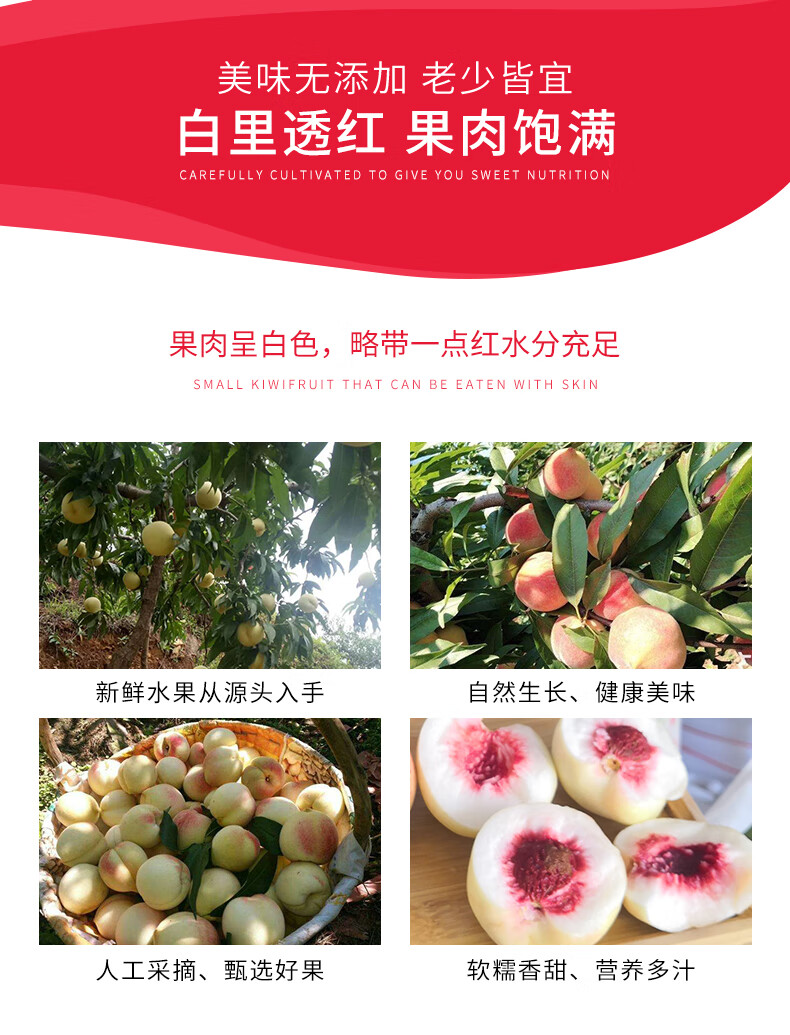 春光岛 丹东河口新鲜精品秋白桃现摘现发新鲜毛桃离核水果 5斤 精选果