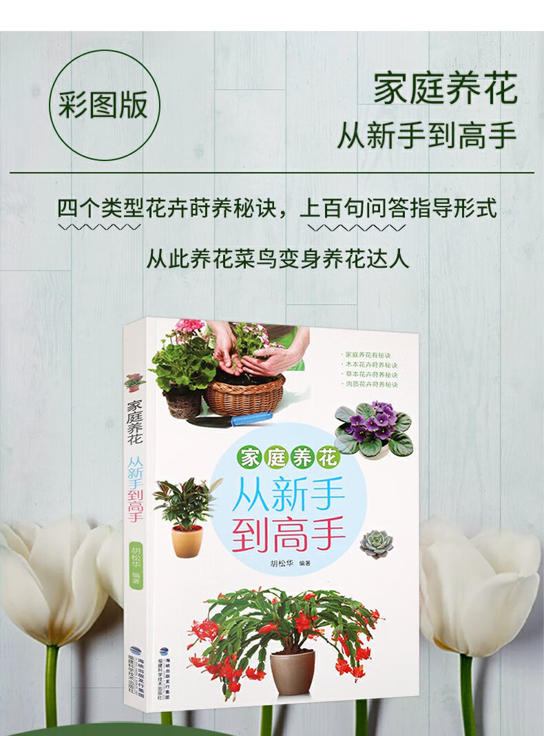 家庭养花从新手到高手四季养花书籍种花图书大全花卉种植技术书籍室内