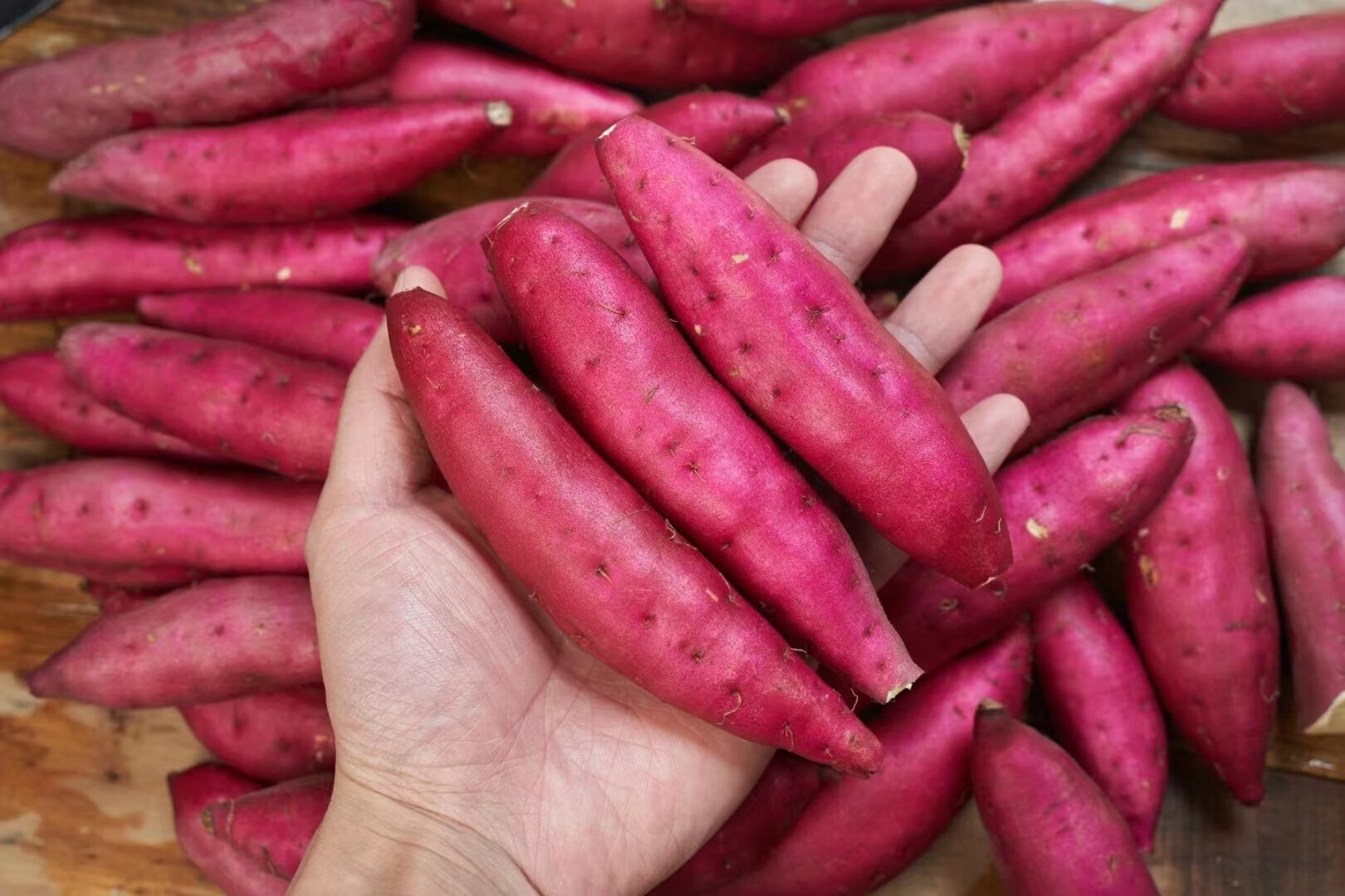 春耕牛临安天目山小番薯5斤临安小香薯小香薯红薯板