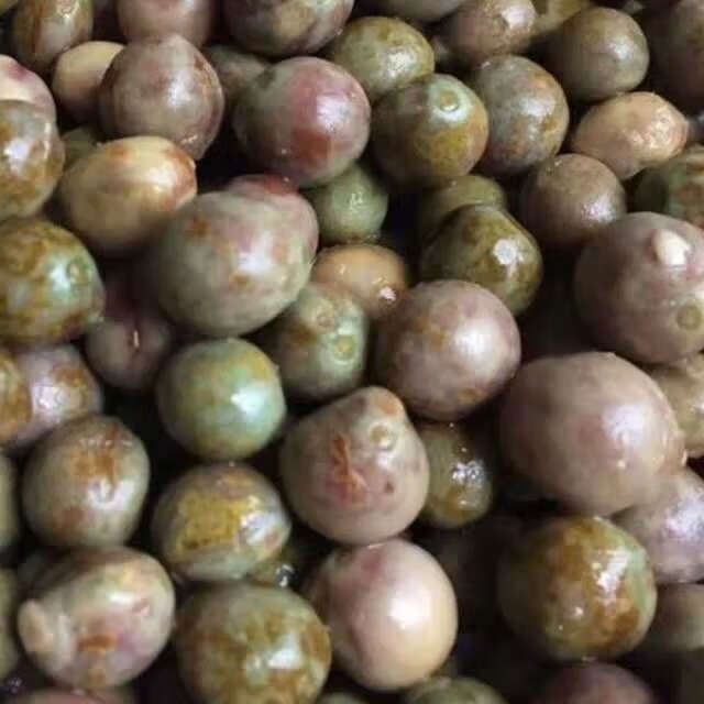 【京品严选】鸡头米种子 鸡头果芡实种子 苏芡苗 带刺芡实苗鸡头籽子