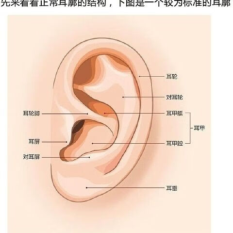 新生兒耳朵矯正器糾正嬰兒耳廓寶寶小兒耳畸形隱耳二爪牽引器 二爪