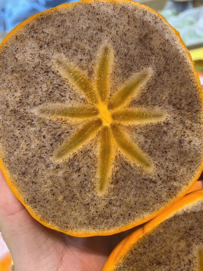 和歌山黑甘柿黑糖柿子新鲜柿纪之川当季品种黑金柿子新鲜日本品种 3斤