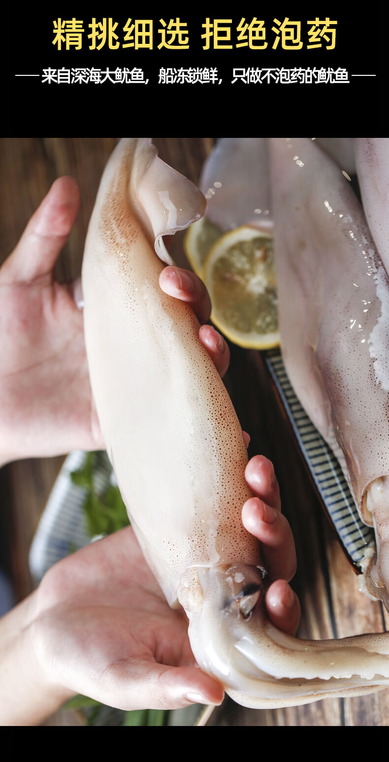 鲜活冷冻超大尤鱼5斤海鲜水产烧烤新鲜北海批发整只冰鲜鱿鱼 新鲜鱿鱼