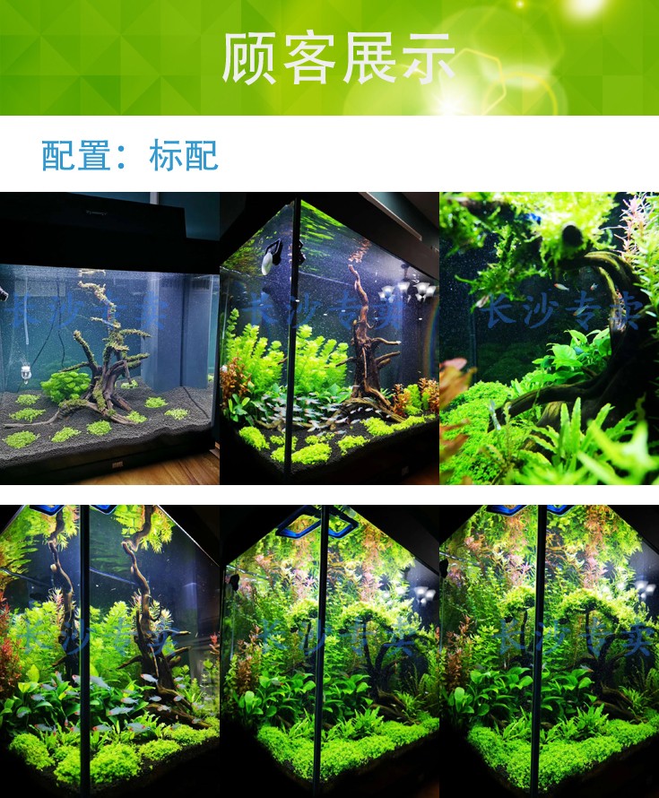 hkna 德国黑钻鱼缸落地客厅家用造景超白高清玻璃方形懒人静音水族箱