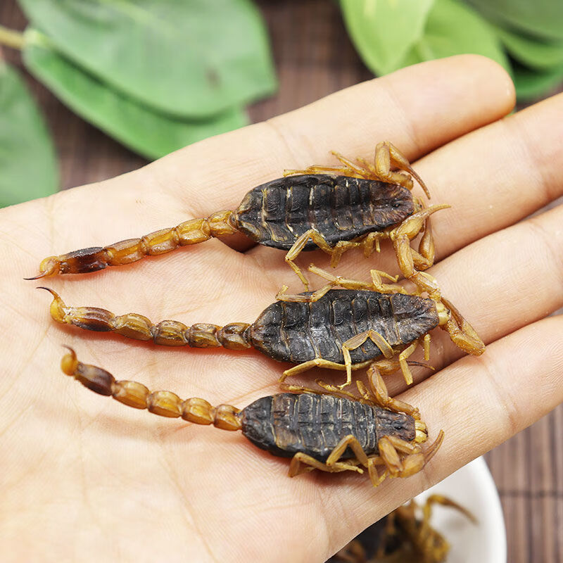 有仁堂中药材蝎子干清水蝎子全虫全蝎100g克干货蝎子泡酒熬汤干蝎子20