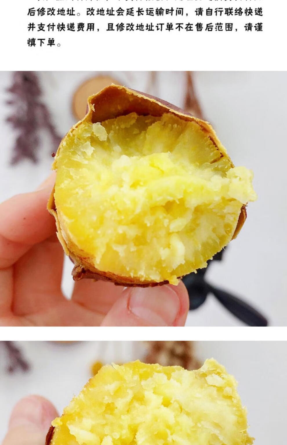 日本鸣门金时红薯源种(顺丰) 香甜板栗红薯粉糯薯香甜无丝 海南金时