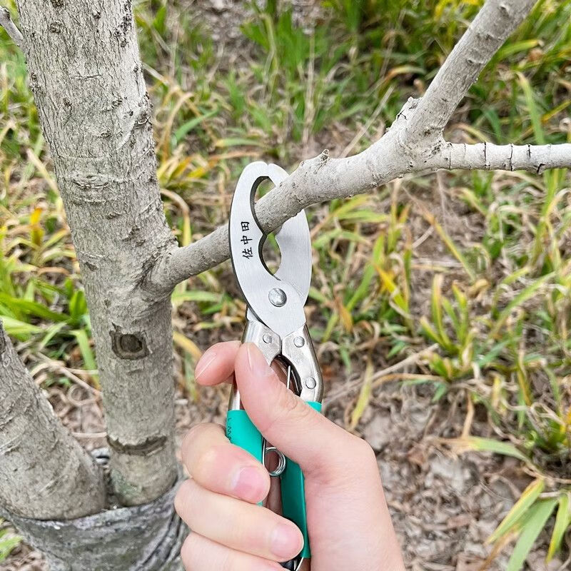 江影清新款果树环割刀柑桔蜜柚环割器荔枝梨树葡萄树环剥刀枝剪环剥器