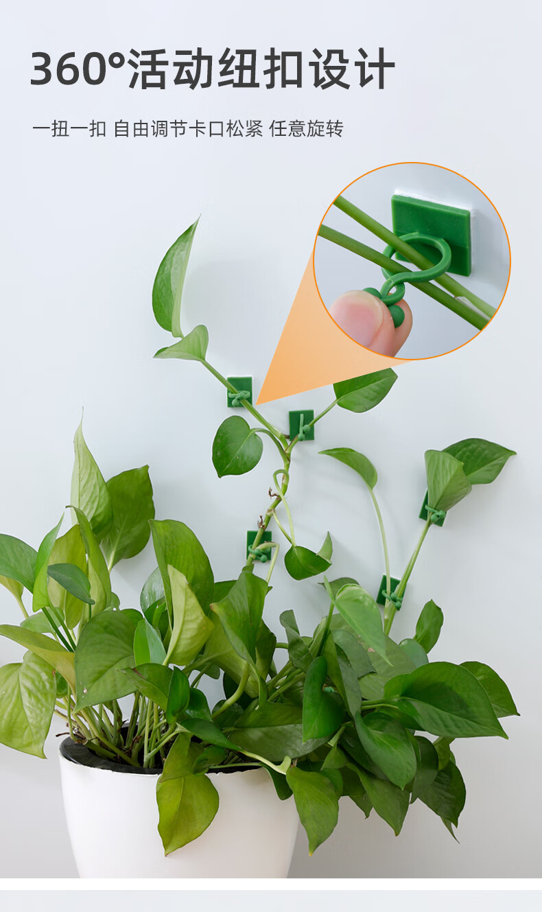 绿萝固定器挂墙绿萝爬墙神器植物固定器藤蔓夹扣卡扣长藤夹子卡子无痕