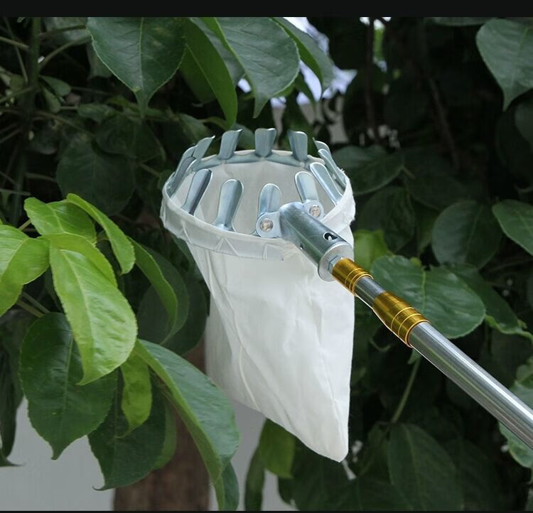 摘果神器10米摘果器多功能不锈钢伸缩摘果10米高空采摘枇杷芒果香椿