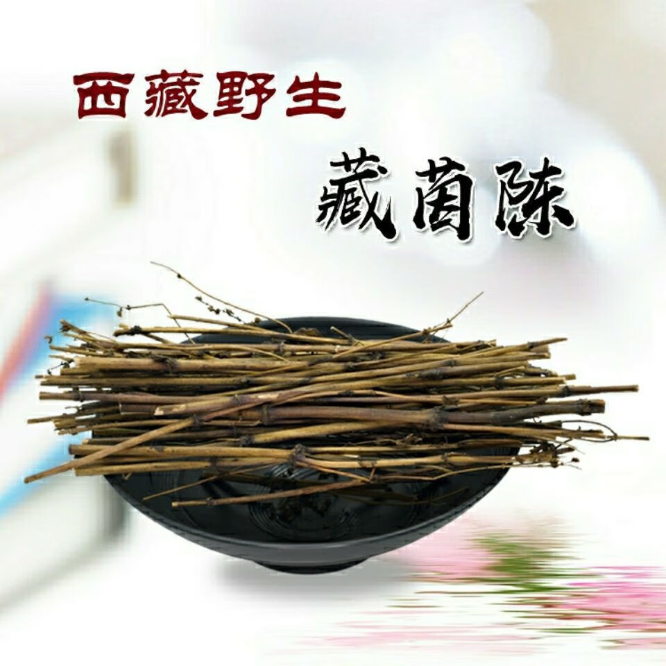 藏茵陈精选野生西藏正宗肝黄草天然藏区茵陈护初级农产品肝藏茵陈500
