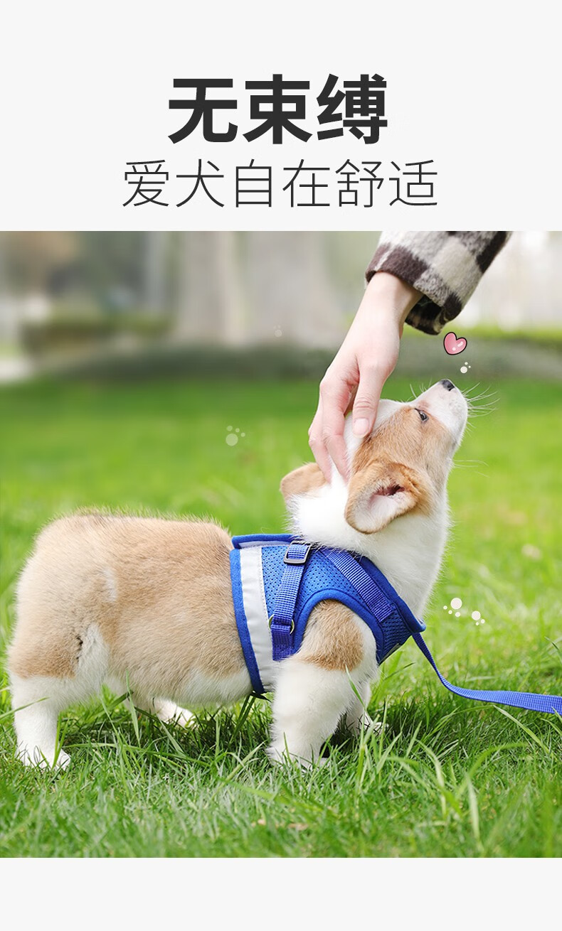 牵引绳狗链反光背心胸背带子狗绳子遛小型犬泰迪用品 黑色(送牵引绳)