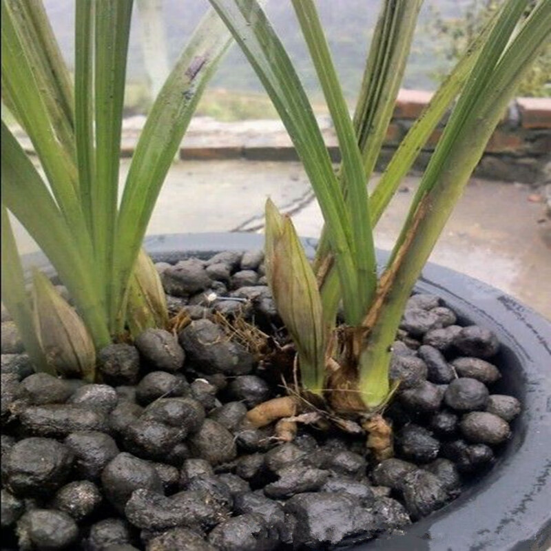 肥料鸡粪羊粪肥发酵有机肥盆栽兰花肥蔬菜果树肥羊粪蛋营养土驰爵发酵