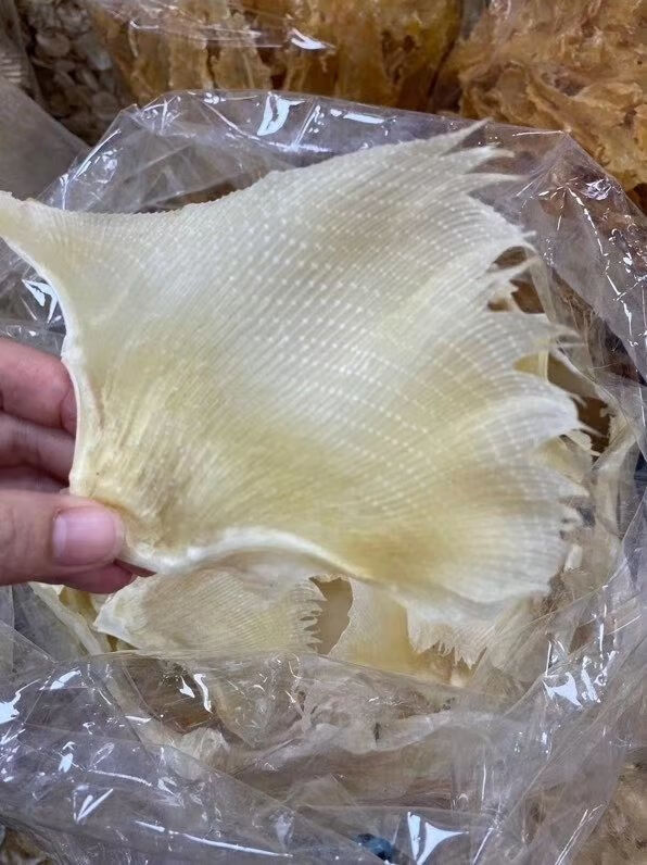 金钩翅250g袋多规格淡晒浦海狗翅天星翅煲汤材料海产干货大号浦鱼翅