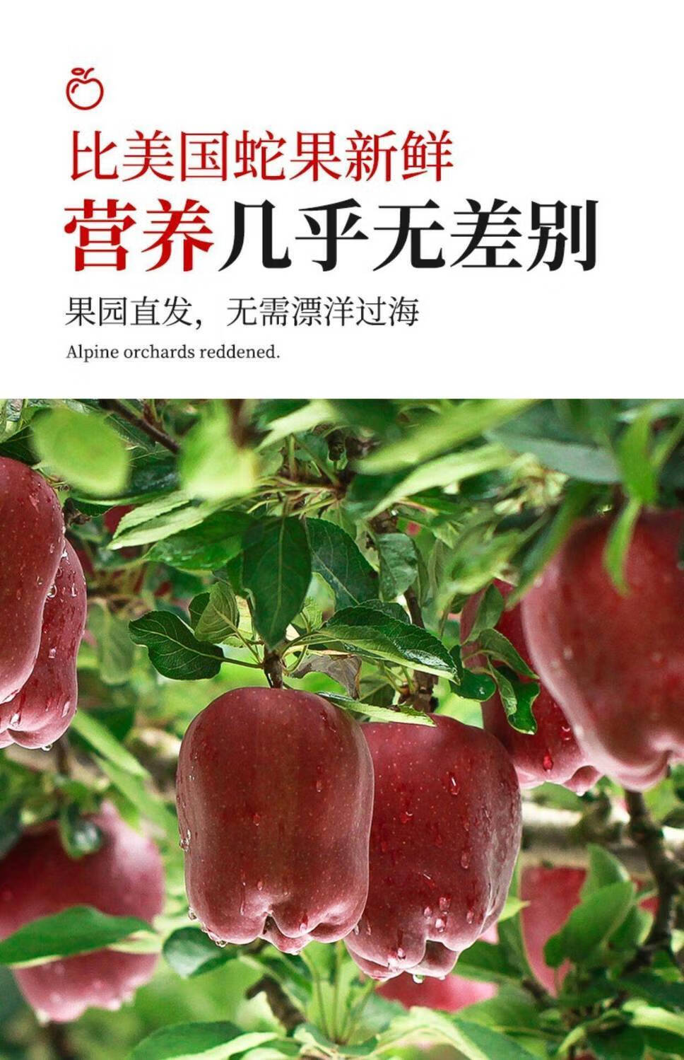 天水花牛苹果老人刮泥蛇果粉面水果红蛇果3斤含箱5斤装出口标准蛇果