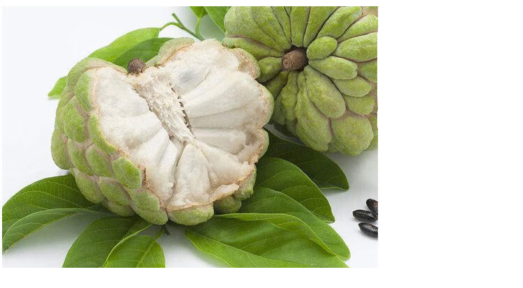 牛奶凤梨释迦果装软糯香甜番荔枝佛头果林檎新鲜孕妇水果团建送礼生鲜