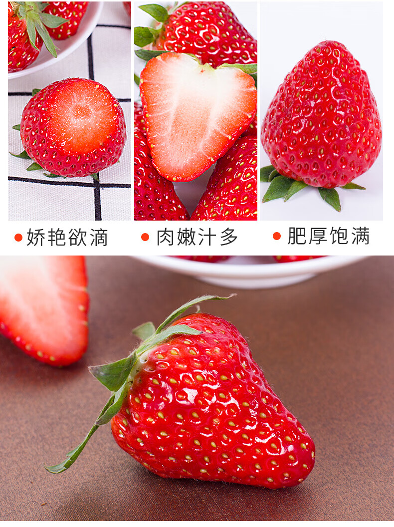 a3d0f86a1b049a49.jpg