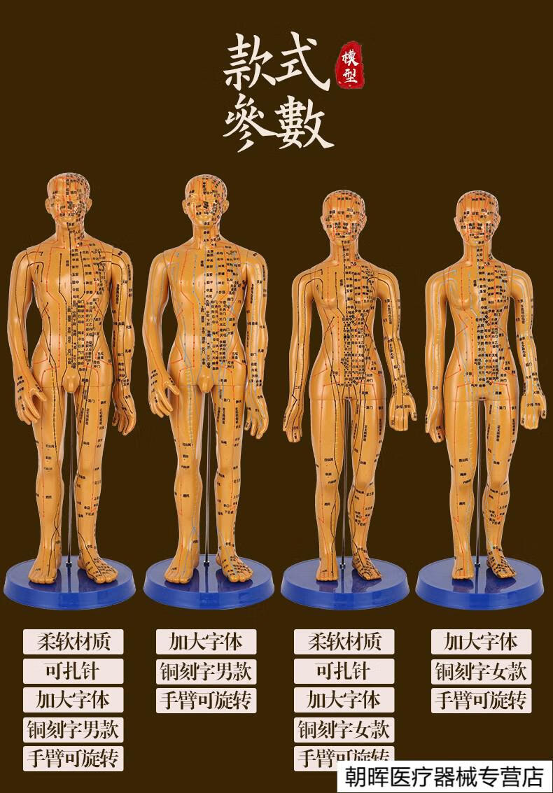 中醫針灸穴位人體模型經絡教學全身十二經絡圖可扎針練習銅小皮人銅色