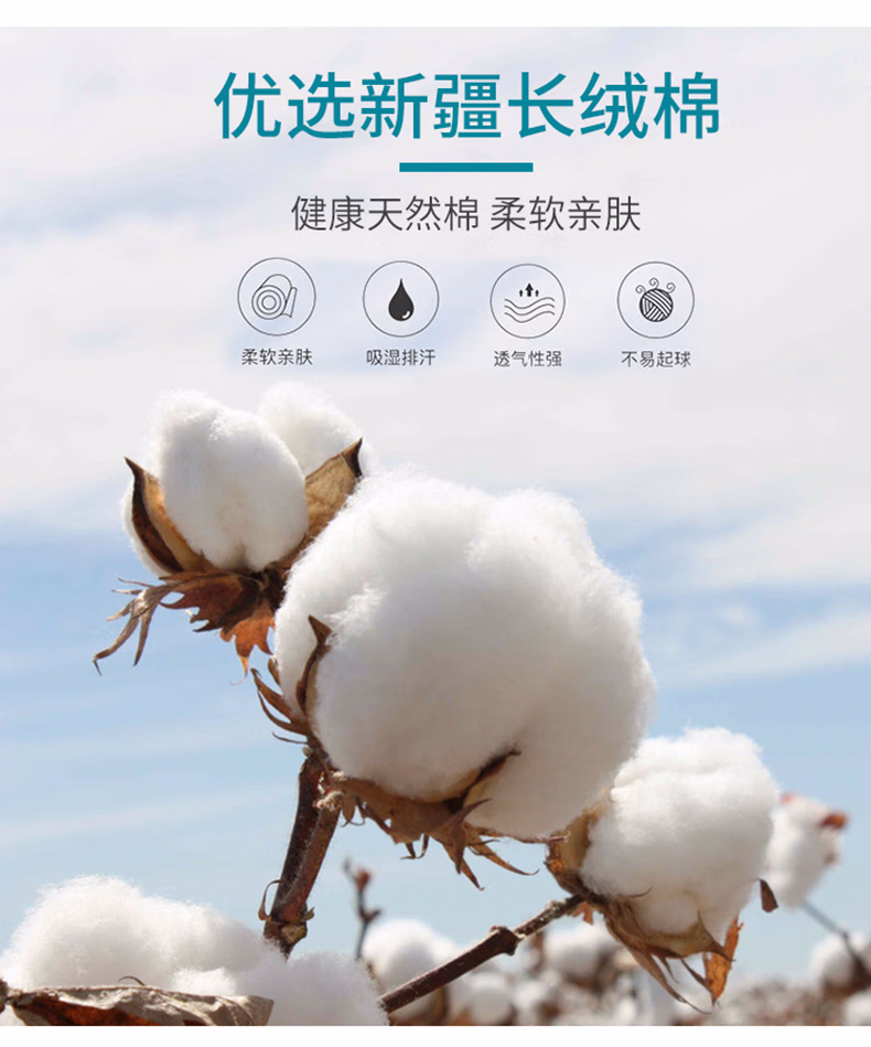 11dadd87d6872046.jpg.avif