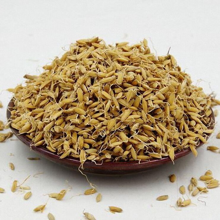 有仁堂中药材炒稻芽谷芽稻芽炒稻芽250克