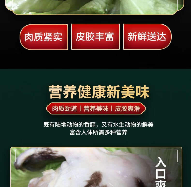 魃鲜新鲜鳄鱼鞭整根现杀鳄鱼鞭人工养殖鳄鱼新鲜肉类3条装鳄鱼鞭