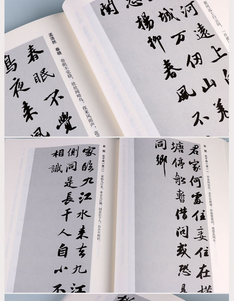 集字字帖 苏字行书 书法技法解析 书法赏析临摹书籍 文物出版社》