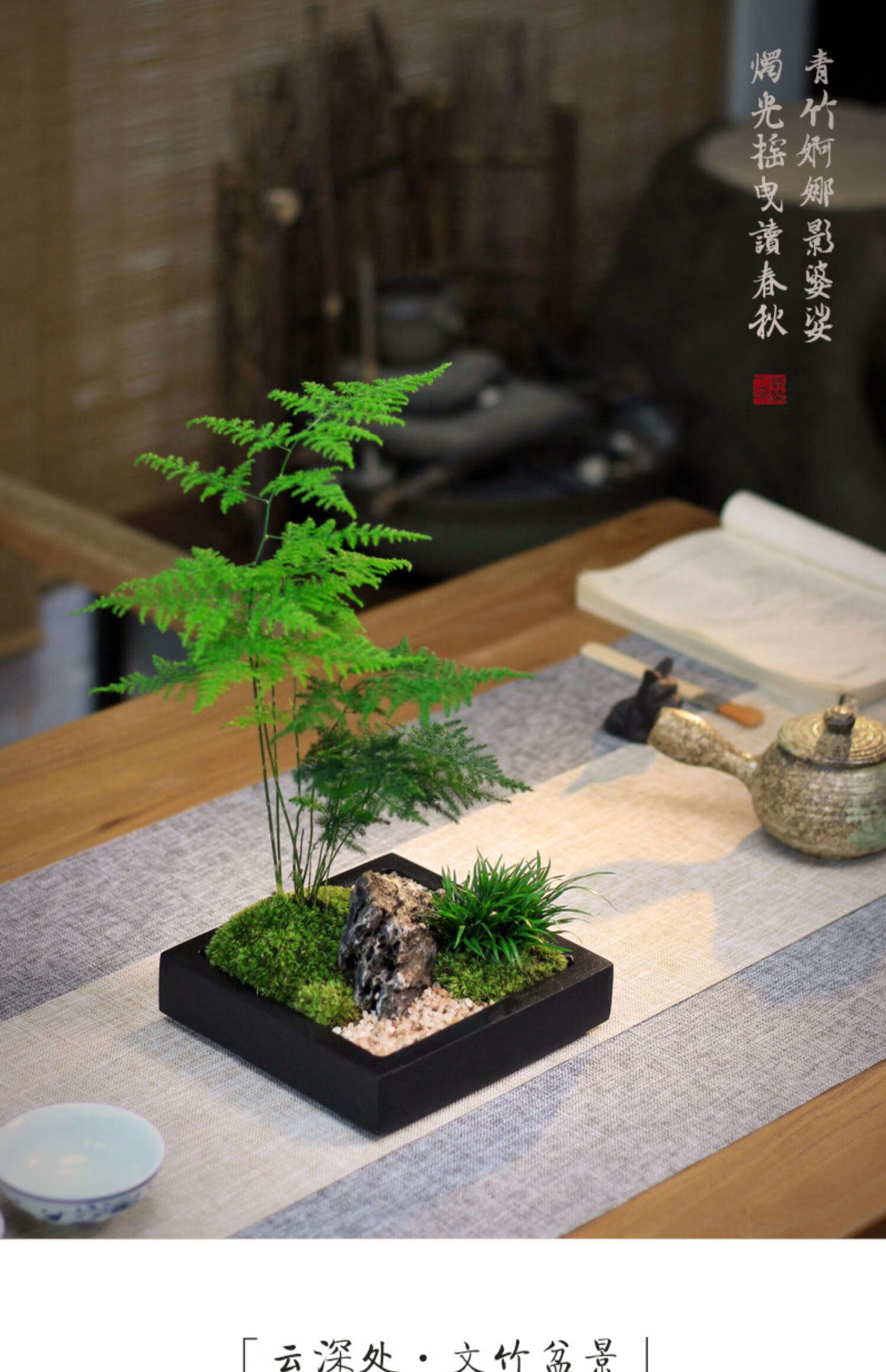 睿格达 文竹盆栽造型室内办公室茶台桌面苔藓摆件日式中式竹子小盆景