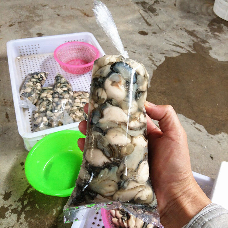 现剥新鲜汫洲生蚝水生水产牡蛎鲜活海鲜海蛎子去壳 10斤纯蚝肉【图片