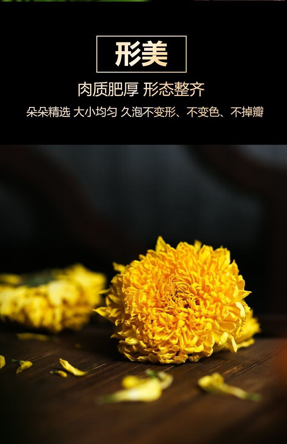 茶四季秋季安徽省黄山特级野生灵怀菊茶灵新鲜沁溪两罐怀灵菊实惠装