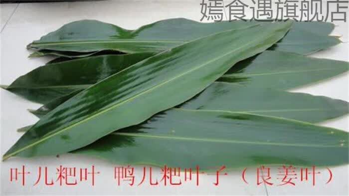 叶儿粑叶子四川宜宾猪儿粑叶子新鲜叶儿粑叶叶材料做鸭儿粑叶叶良姜叶
