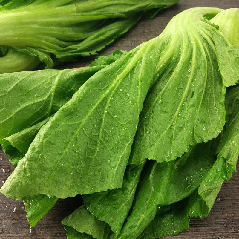 青樱红荔芥菜新鲜四川泡青菜大叶青宽邦芥菜时令蔬菜泡酸菜酸菜鱼原料