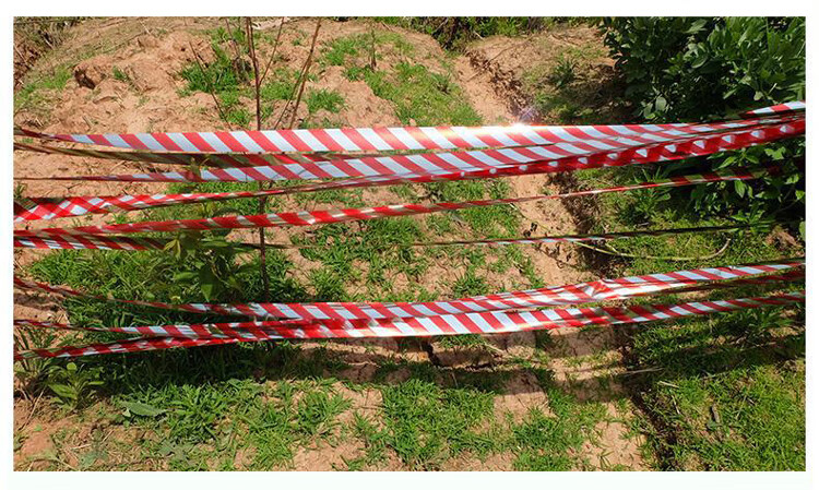 驱鸟彩带果园反光带防鸟惊鸟吓鸟赶鸟带农田闪光警示彩条加厚农用红银