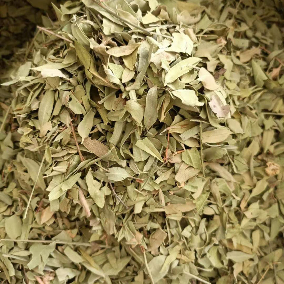 新疆罗布麻中药材罗布麻叶 新疆大叶罗布麻叶泡茶 250克500克 500克