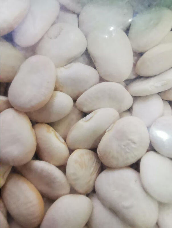 崇明特产顶胜洋扁豆农家自种白扁豆当季新鲜蔬菜杂粮洋扁豆白芸豆