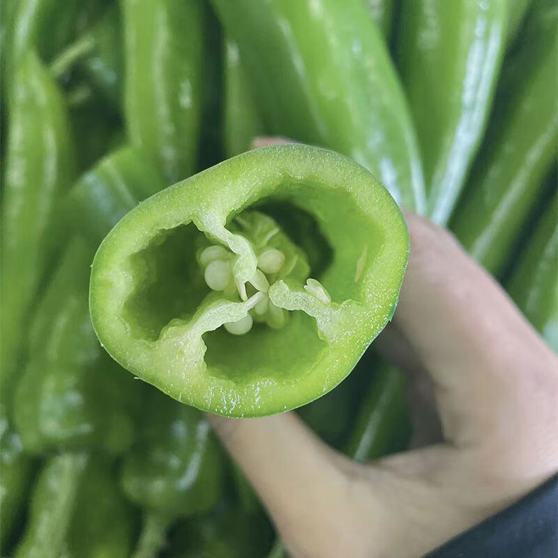 大牛角椒虎皮绿皮椒新鲜整箱新鲜新鲜青辣椒尖椒椒厚皮 新鲜大青椒1个