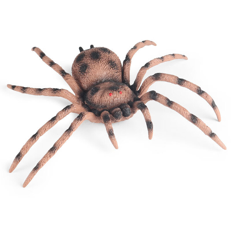 玩具大号软胶蜘蛛模型仿真动物儿童教学标本男孩玩偶软软胶象鼻虫18cm