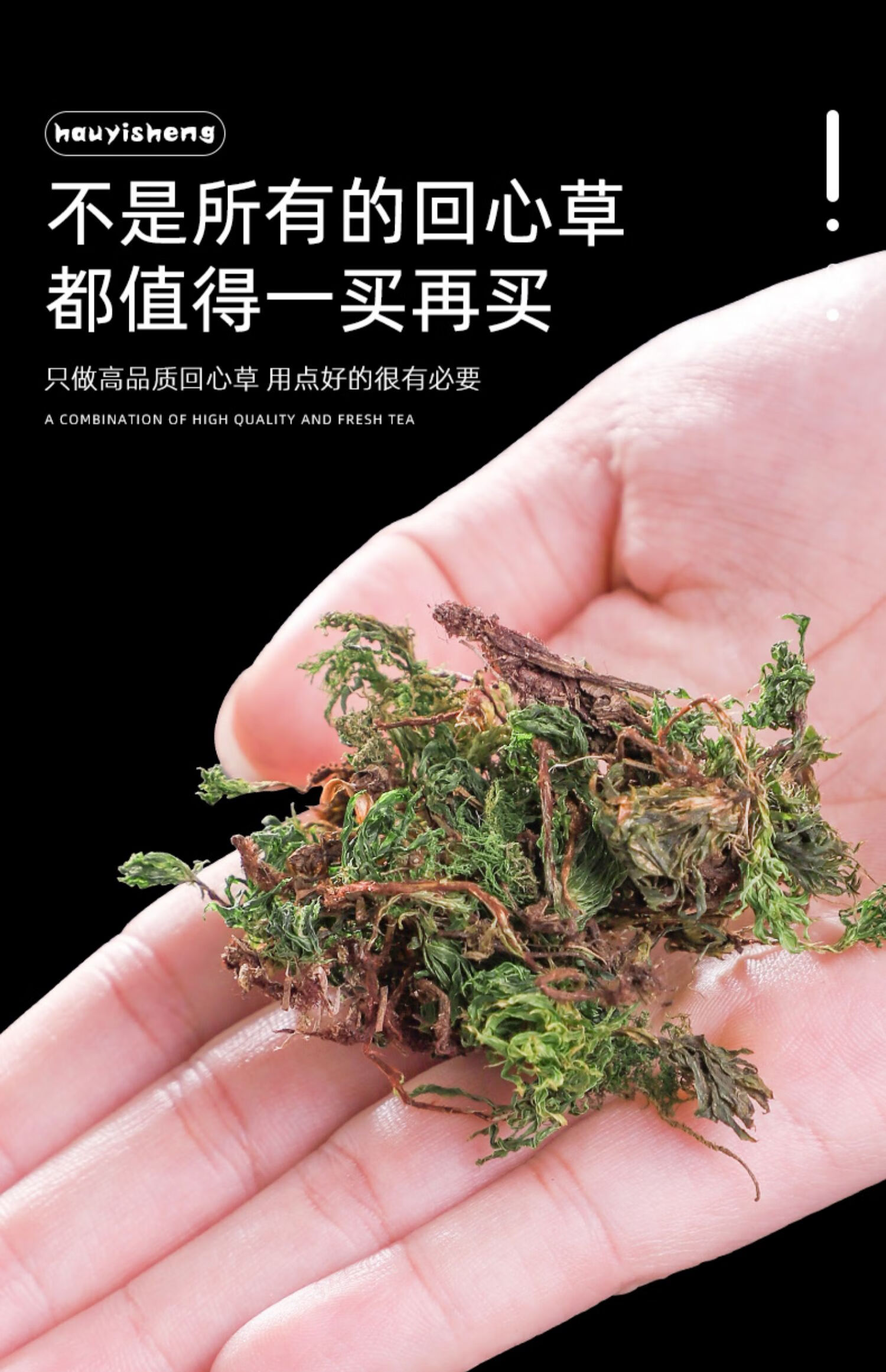回心草泡茶茴心草云南茴薪草泡水喝3罐回心草