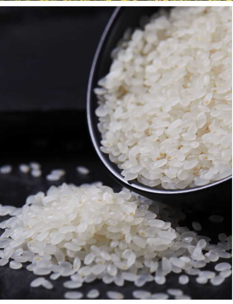 米越光米寿司米10斤胚芽粥米珍珠米日本新米蟹田米东北大米5kg