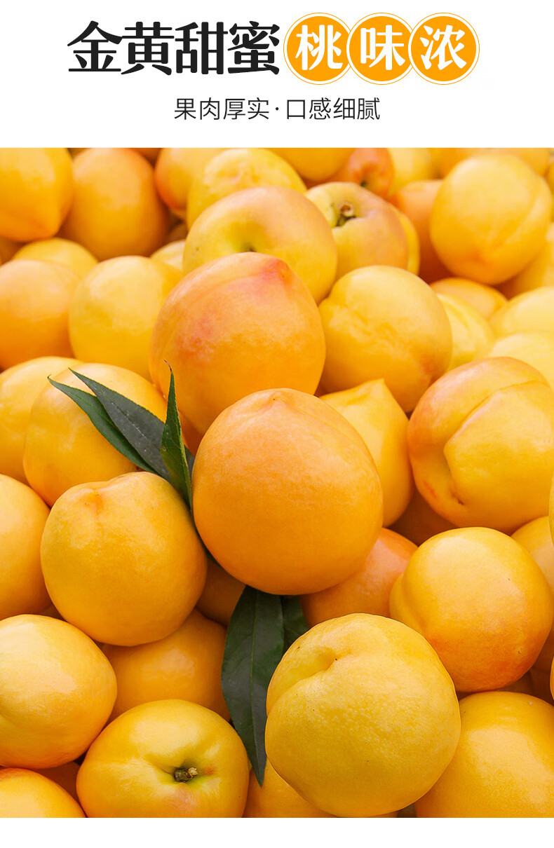 黄油桃黄金油桃水果新鲜当季整箱10现摘桃子5斤精选3斤美味尝鲜精选优