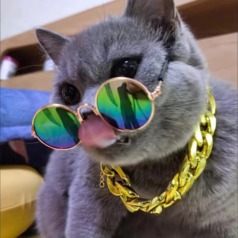 宠物猫项圈猫咪金链子眼镜墨镜狗狗小型犬饰品猫猫金项链泰迪拍照 金