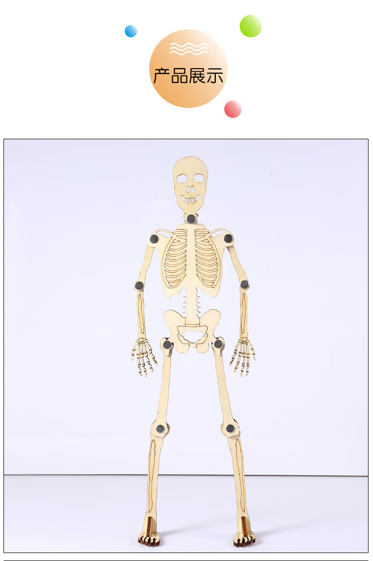 儿童diy手工科技小制作小发明木质拼装人体骨骼模型简易骨架幼儿园小