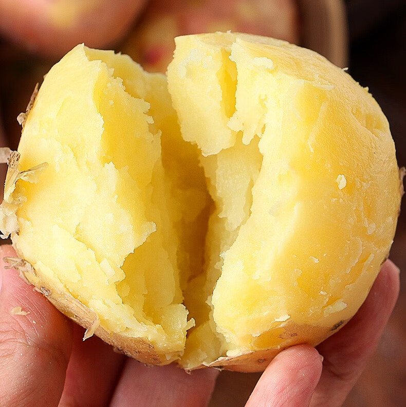 淀粉高原马铃薯中大果农家自种现挖现发黄心洋芋头小土豆火锅食材5斤