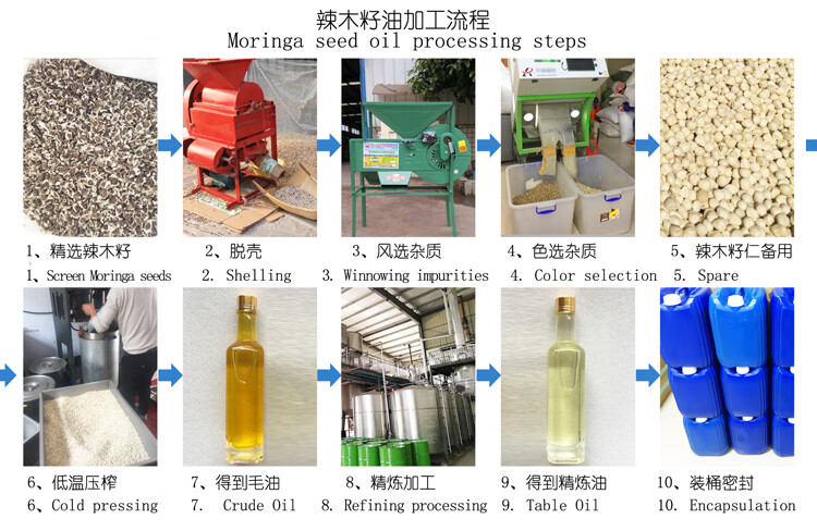 辣木籽辣木籽油翼籽辣木籽提取物辣木油不同规格毛油5l