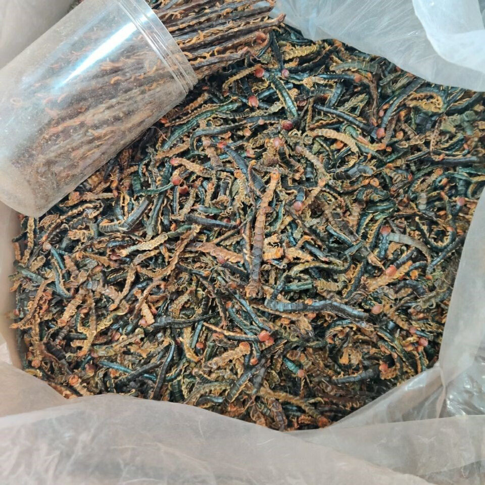 仕联中药材蜈蚣肉无竹签蜈蚣干 17公分蜈公皮大整条不碎可磨粉售蝎子